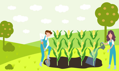 Fototapeta premium Two farmers grow corn on the field, the vector chart