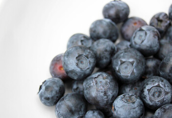 blueberry background close up