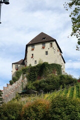 Fototapeta na wymiar Schattenburg in Feldkirch
