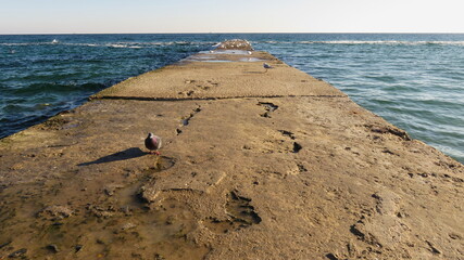 the roughness of the concrete pier looks like a texture or landing pad for birds in the open sea