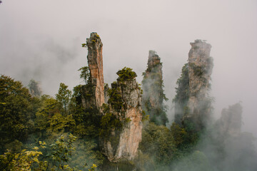 Foggy day in national park in China where Avatar movie was made