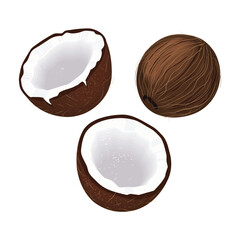 Vector illustration with coconut halves and pieces on a white background. Suitable for packaging design of coconut oil.