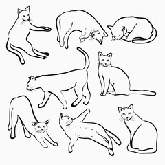 isolated hand drawing different posture of cats simple sketch element for wallpaper, background, texture, label, cover, banner etc. vector design.