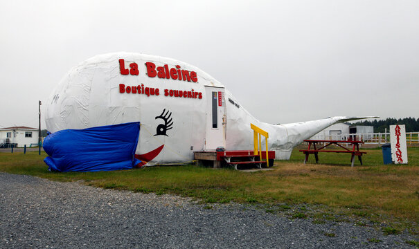 Boutique d'artisanat La baleine avec un masque &agrave; Matane en Gasp&eacute;sie durant la pand&eacute;mie de coronavirus