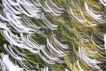 Natural festival lights.