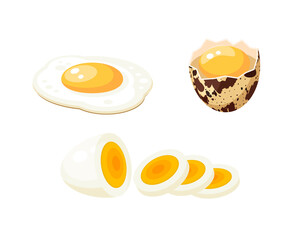 Fried egg, hard boiled sliced egg and cracked quail egg with spotted shell. Vector illustration flat icon set isolated on white background.