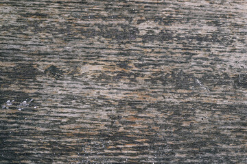 Old tree texture. A wooden table with rough edges and scratches.