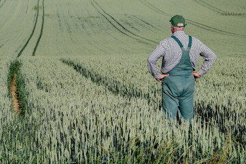 A farmer stands in the lane of his tractor and looks down over his large grain field.