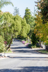 Street view of leafy green area in a well-to-do middle class area of George South Africa