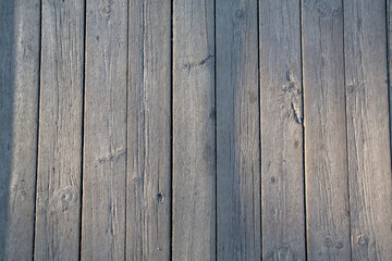 gray wood texture close-up