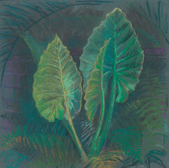 Tropical vegetation.Drawing with pastels.Allocasia.Nature. plants alokazii and ferns