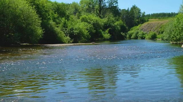 flow of the river on a sunny cloudless summer day among the trees