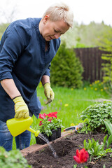 female gardener waters freshly planted flowers and plants from watering can amidst green countryside. Gardening concept. anti-stress cure concept. open air free time concept. blogging concept