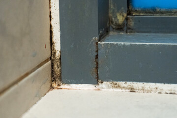 Old plastic window frame in the shower. Moldy angle, fungus. Problem areas shower.