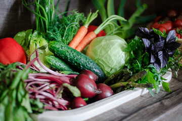 In the kitchen sink are washed fresh herbs, basil, tomatoes, cabbage, beets, carrots and other vegetables. Vegetarian food concept