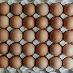 Close up of brown raw chicken eggs in a cardboard tray. Top view