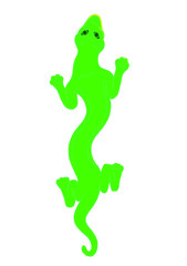 Green Lizard vector