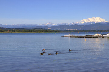 lago di varese italia, lake of varese italy