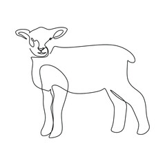 Continuous one line drawing of a little lamb sheep. Vector illustration