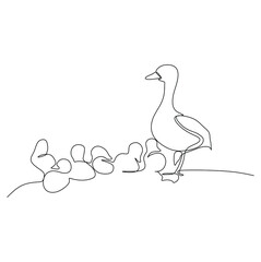 Continuous one line drawing of a duck mother with its ducklings. Vector illustration