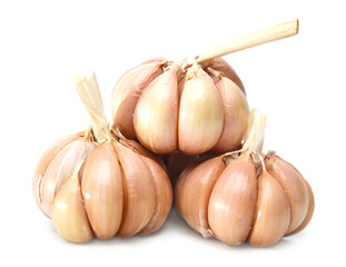 Garlics on white background