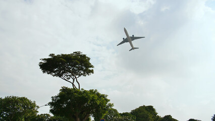 Take-off aircraft on the background of trees in the Indonesian village.