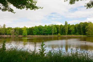 Beautiful lake during the spring season, Flers, Normandy, France. Green foliage in the background that reflects in the water. Sunny day in the park. Composition shot.