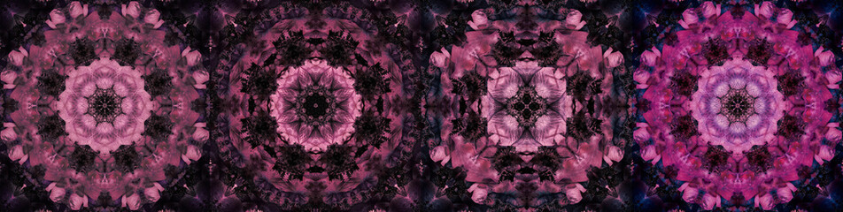 Collage of ornamental flora mandalas made of macros of dark red violet pink anemone blossoms with...