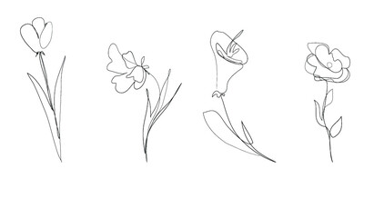 hand-drawn flowers vector set, one line illustration
