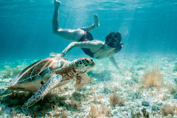 Fototapeta na wymiar Girl swimming with Sea Turtle