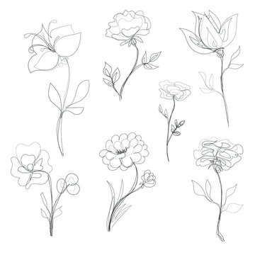 vector set of outline hand-drawn flowers, single line art illustration