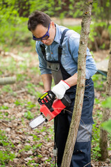 Obraz premium middle-aged man in overalls saws wood with chain saw in background of fallen leaves thicket clearance. Deforestation, forest cutting concept. Hand harvesting of firewood in forest.