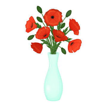 Red poppies in a vase. flowers on a white background. Isolated object on a white background. Cartoon style. Element for packaging, advertisements. Vector illustration.