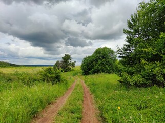 Fototapeta na wymiar cloudy sky before rain over a country road in a green field