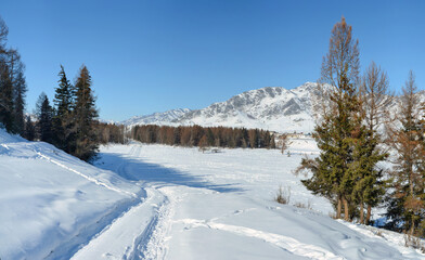 Fototapeta na wymiar panoramic landscape of winter village road
