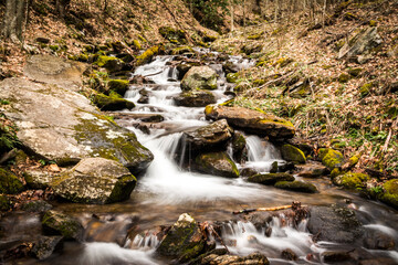 waterfall in the forest