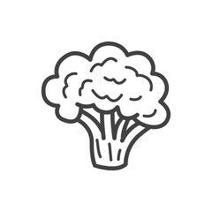Broccoli line icon. Vector Illustration.