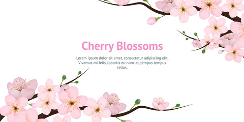 Obraz na płótnie Canvas Realistic 3d Detailed Blooming Cherry Blossom Card. Vector