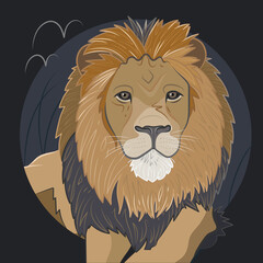 Illustrated Lion on a Dark Blue Background
