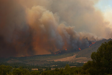 Incendio forestal en Hellín, Albacete, España.