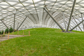 Fototapeta premium greenhouse in the spring