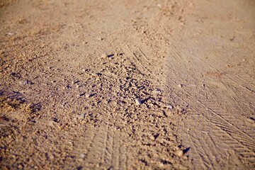 tire tracks in sand