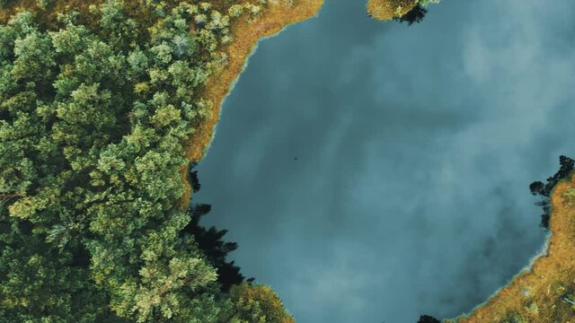 Raised bog of Aukštumala in Lithuania, aerial top down view. Wetlands with lakes, national park
