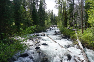 Fast-flowing Lake Creek in the Laurance S. Rockefeller Preserve in Grand Teton National Park - Wyoming, USA