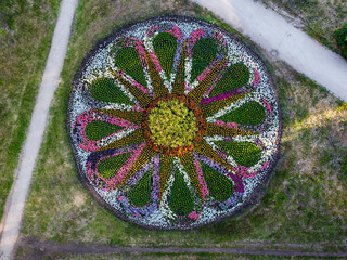 aerial top view from above on colorful flowerbed in Samara city, Russia