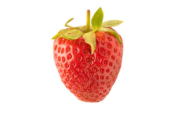 Isolated strawberry. Strawberry fruit isolated on white background with clipping path