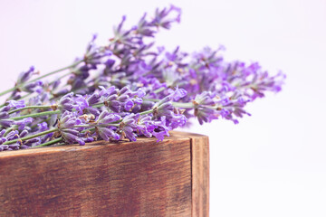 Lavender flowers in wooden box, white background, rustic still life