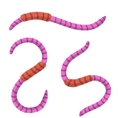 Set of earthworms. Cartoon flat illustration. Crawling insects. Pink worm. Small, slimy, long animal. Isolated Fishing bait