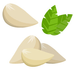 Garlic cloves. Spicy vegetable. Vector Cartoon illustration. Element of harvest. Natural product. Healthy diet. Seasoning and herb