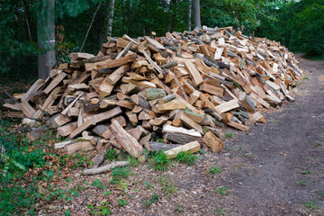 Coupe de bois de chauffage en forêt